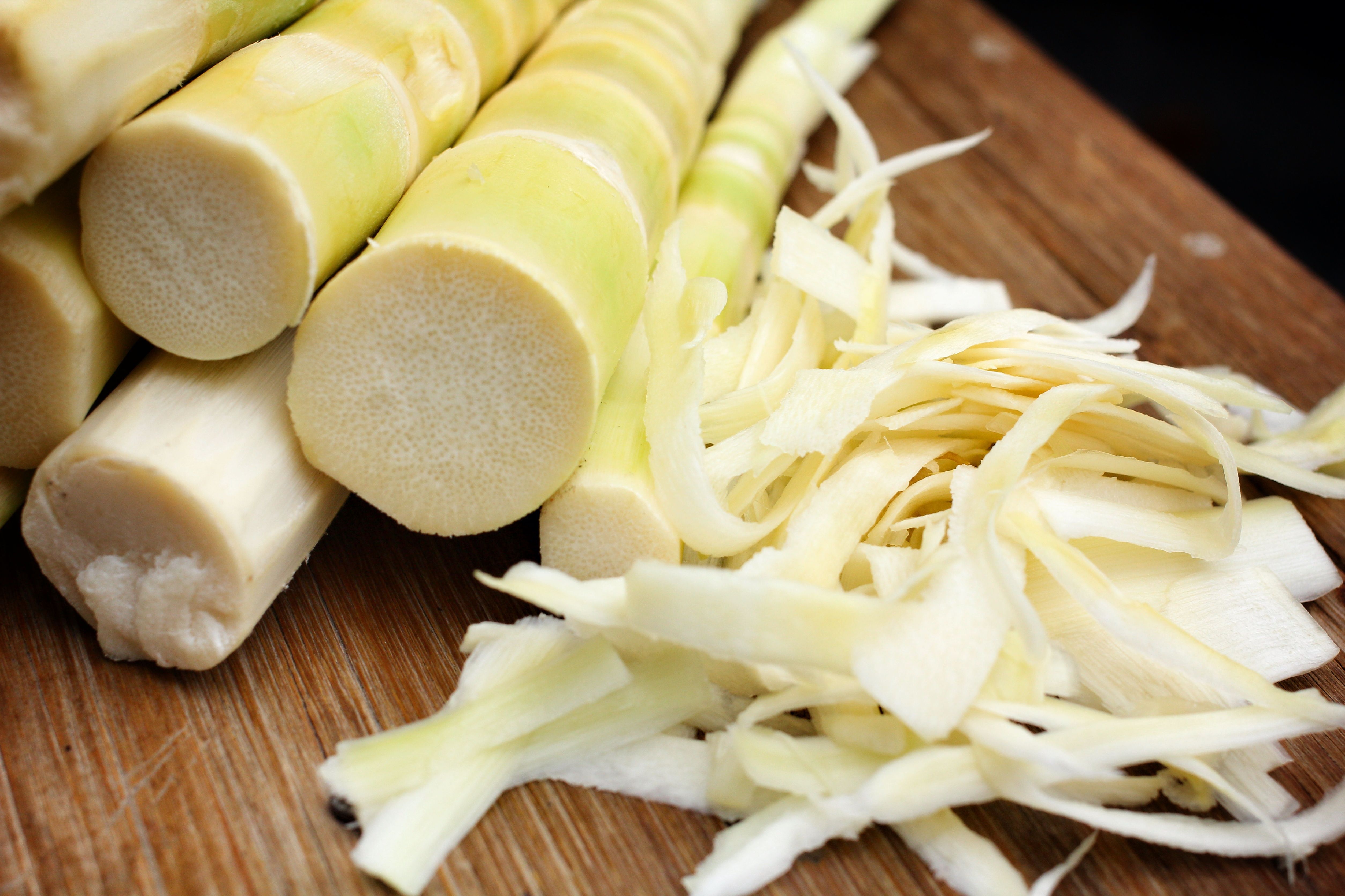 bananenpflanze frostsicher Banane "Bob"