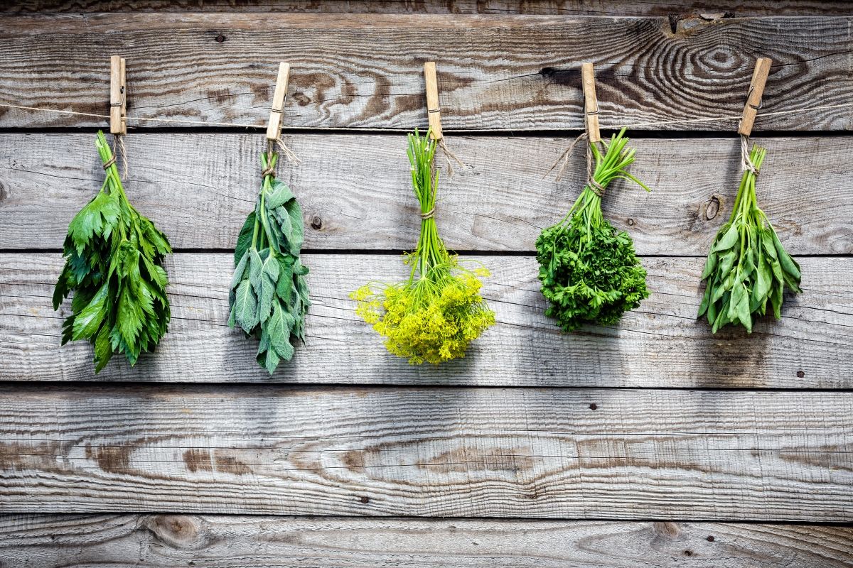 Herbs In The Kitchen - How To Use Aromatic Herbs