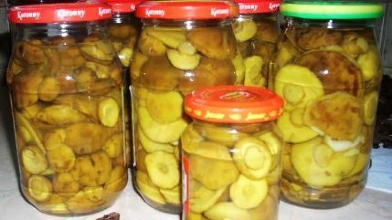 Najlepsze przepisy na Grzyby marynowane. Gotujmy.pl