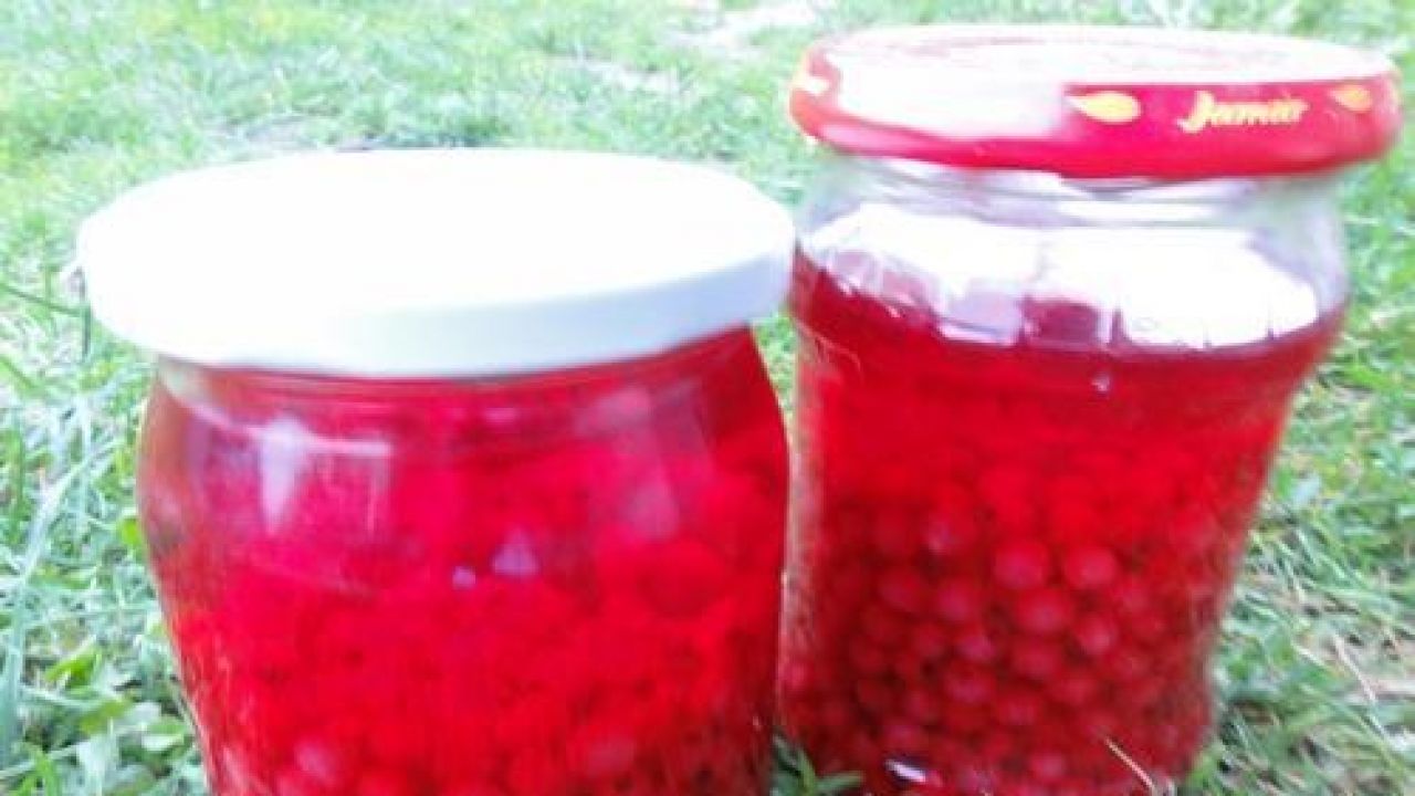 Przepis Kompot z czerwonej porzeczki przepis Gotujmy.pl