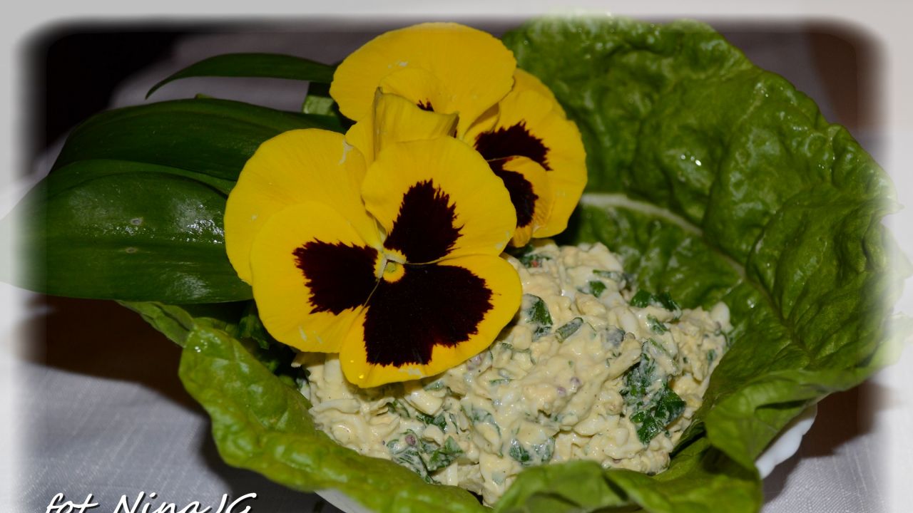 Pasta jajeczna z boćwiną i czosnkiem niedźwiedzim przepis Gotujmy.pl