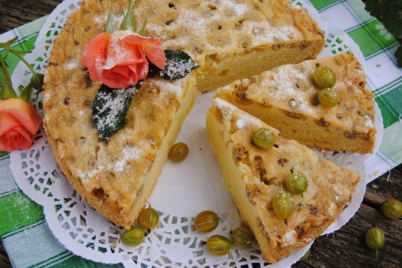 Agrestowiec „ do góry nogami” Agrestowiec „ do góry nogami”