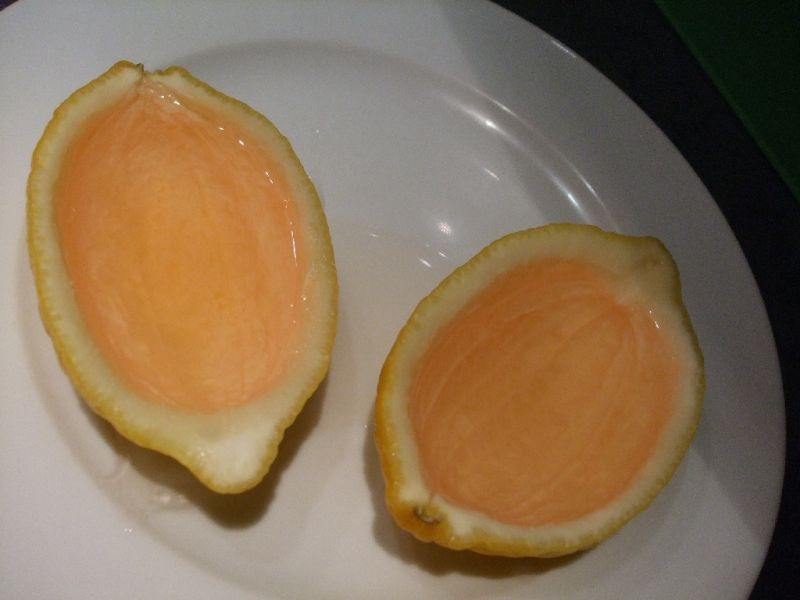 Alkocytryny czyli cytryny z nutą alkoholu  Alkocytryny czyli cytryny z nutą alkoholu