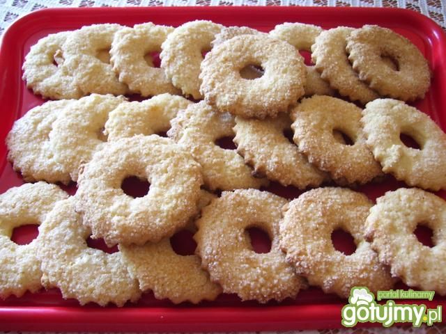 Amoniaczki 11 Amoniaczki 11