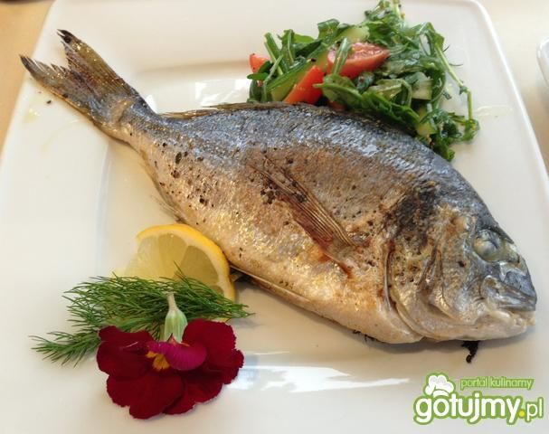 Aromatyczna dorada z kwiatem Aromatyczna dorada z kwiatem