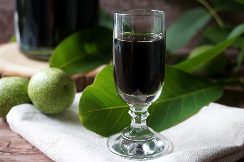 Aromatyczna orzechówka Aromatyczna orzechówka