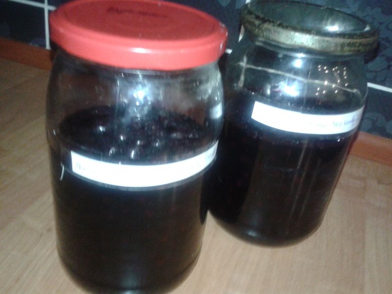 Aronia w cukrze Aronia w cukrze