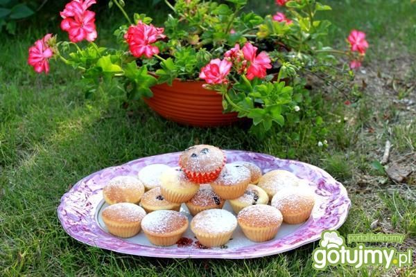 Babeczki  na upalne dni Babeczki  na upalne dni