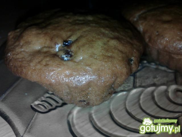 Babeczki z rodzynkami wg dayzi Babeczki z rodzynkami wg dayzi