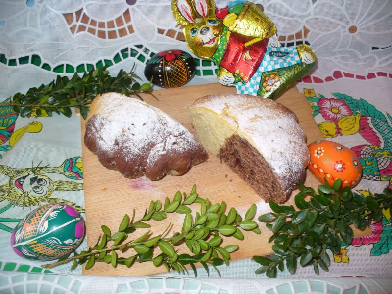 Babka dwukolorowa Babka dwukolorowa