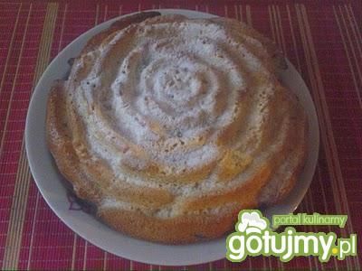 Babka róża Babka róża