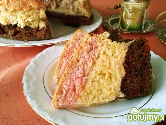 Babka trójkolorowa 3 Babka trójkolorowa 3