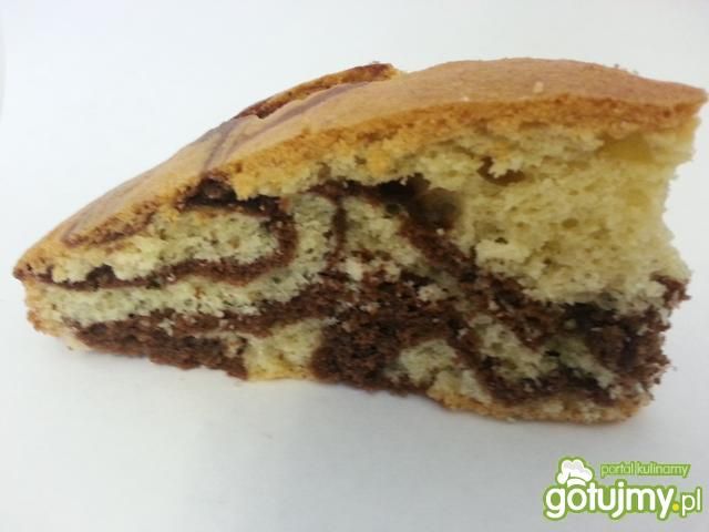 Babka zebra Babka zebra