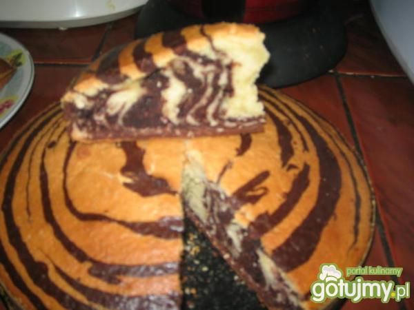 babka zebra