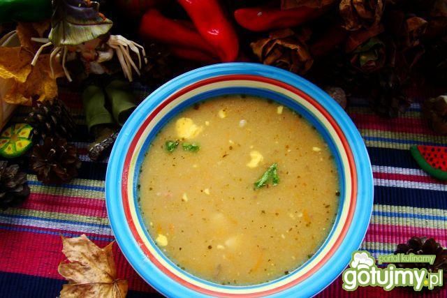 Barszcz biały chrzanowo-czosnkowy 