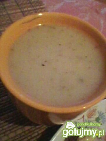 Barszcz biały- zakwas