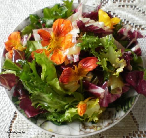 Barwy jesieni-surówka : Barwy jesieni-surówka :