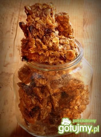 Batoniki z płatków owsianych z bakaliami