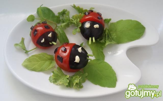 Biedroneczki do dekoracji 