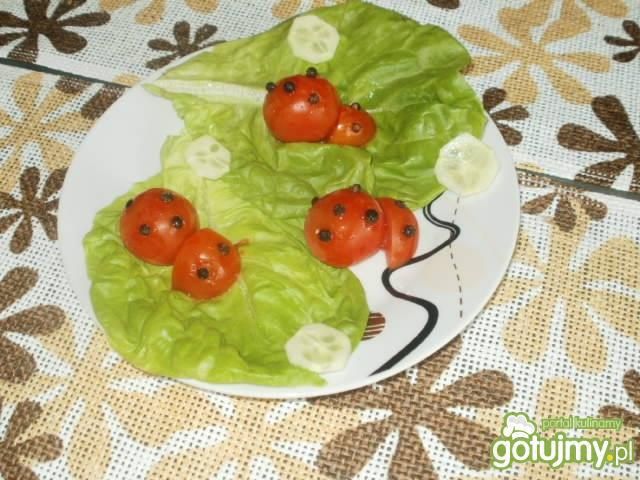 Biedroneczki na zielonej łące Biedroneczki na zielonej łące