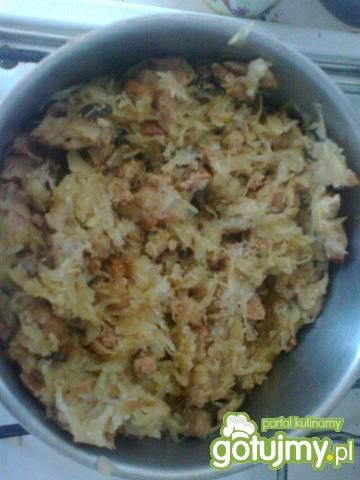 Bigos wg kkwiatuszeekk Bigos wg kkwiatuszeekk