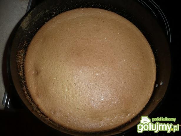 biszkopt 1 biszkopt 1