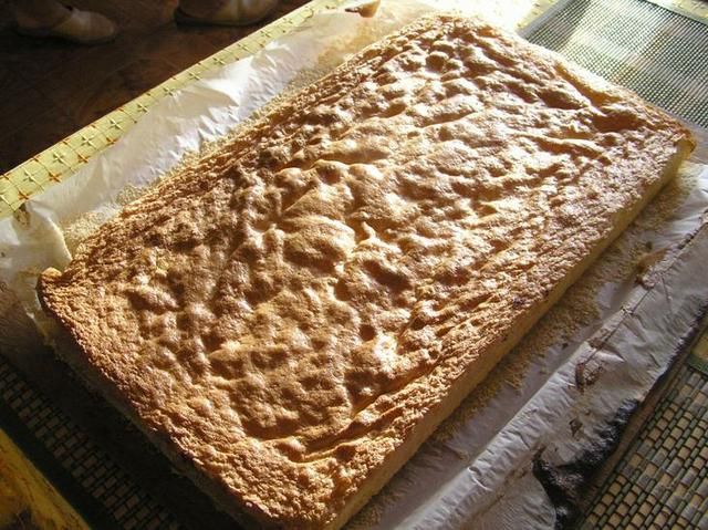 Biszkopt Biszkopt