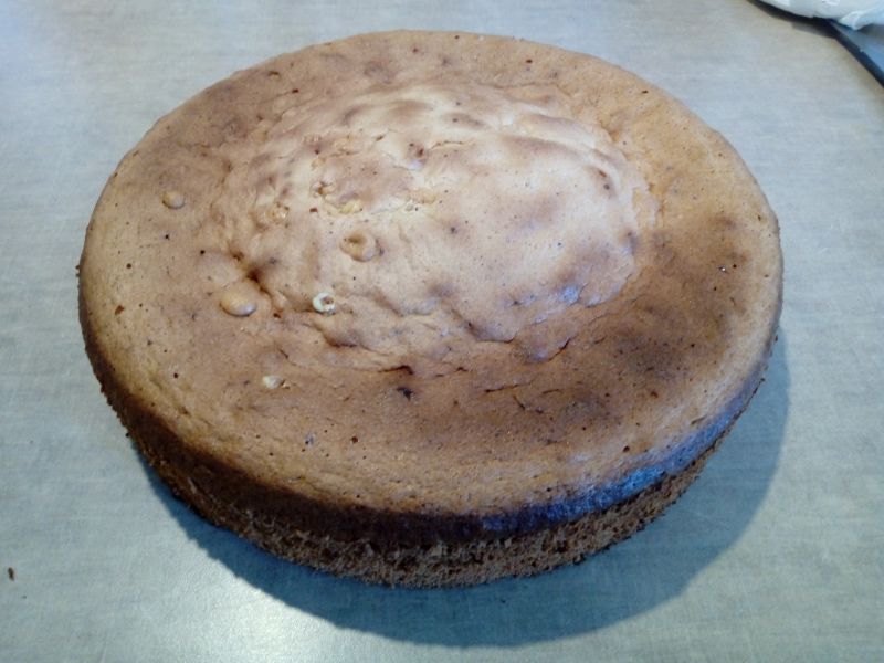 Biszkopt cytrynowy Biszkopt cytrynowy