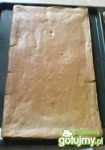 Biszkopt czekoladowy 5