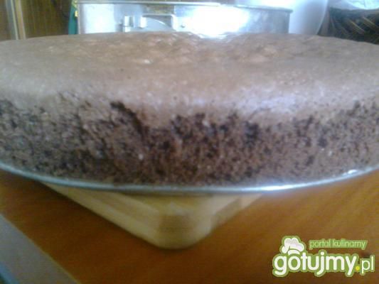 biszkopt czekoladowy