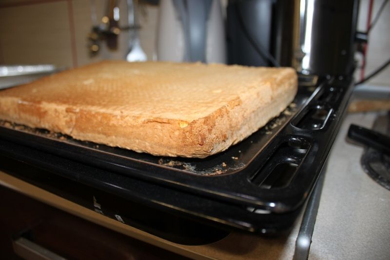 Biszkopt duży z budyniem  Biszkopt duży z budyniem