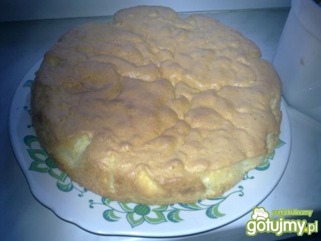 Biszkopt jasny Biszkopt jasny