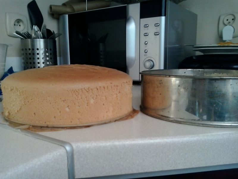 Biszkopt jasny-najlepszy Biszkopt jasny-najlepszy