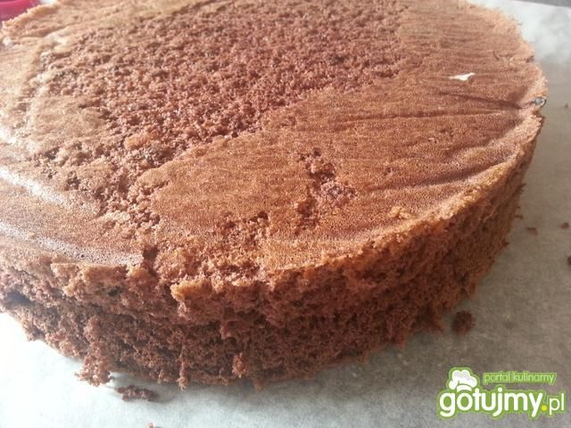 Biszkopt kakaowy 5 Biszkopt kakaowy 5
