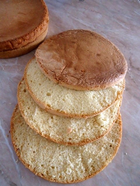 Biszkopt na tort Biszkopt na tort