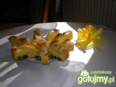 Biszkopt obłożony jabłkami i rodzynka