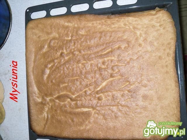 Biszkopt pod roladę