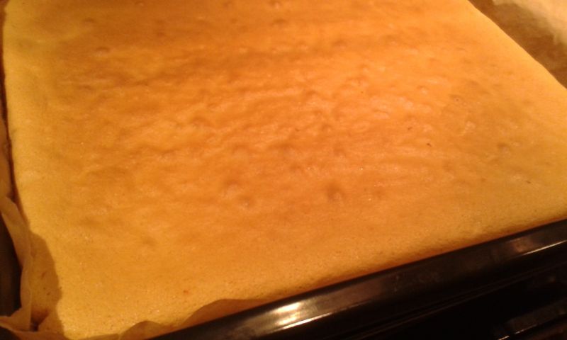 Biszkopt prostokątny z 8 jaj