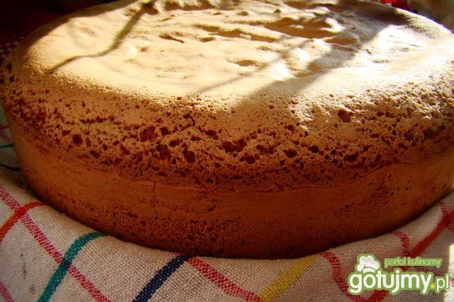 Biszkopt tortowy  Biszkopt tortowy