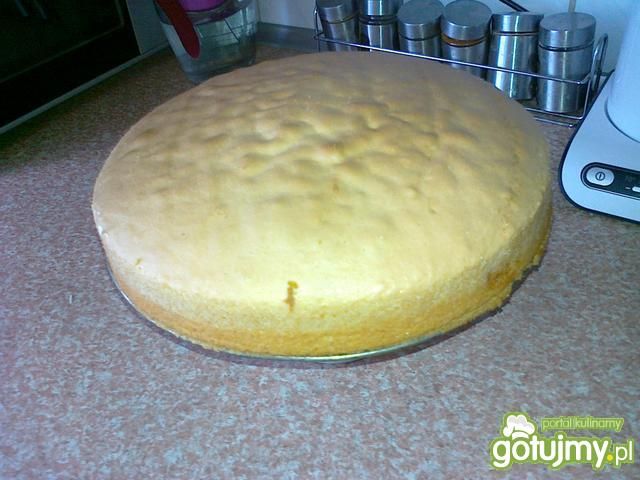 Biszkopt tortowy z sokiem cytrynowym Biszkopt tortowy z sokiem cytrynowym