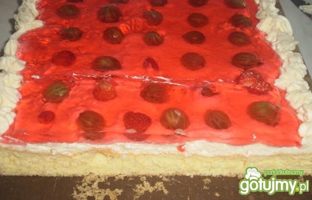 Biszkopt truskawkowo-agrestowy