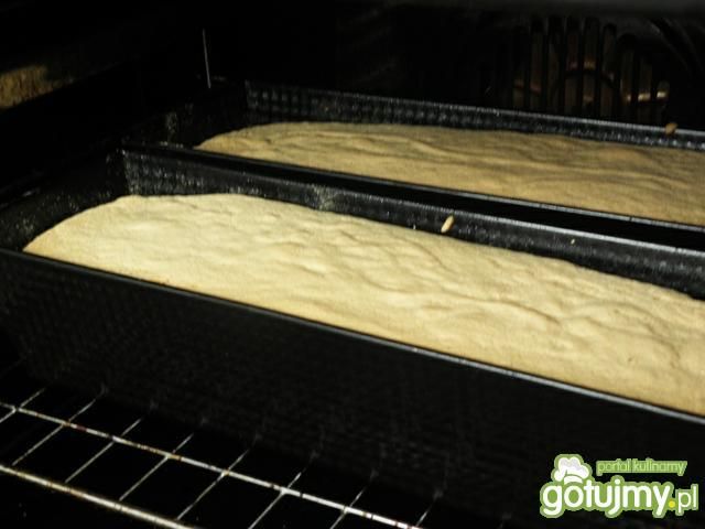 Biszkopt. wg Msewki Biszkopt. wg Msewki