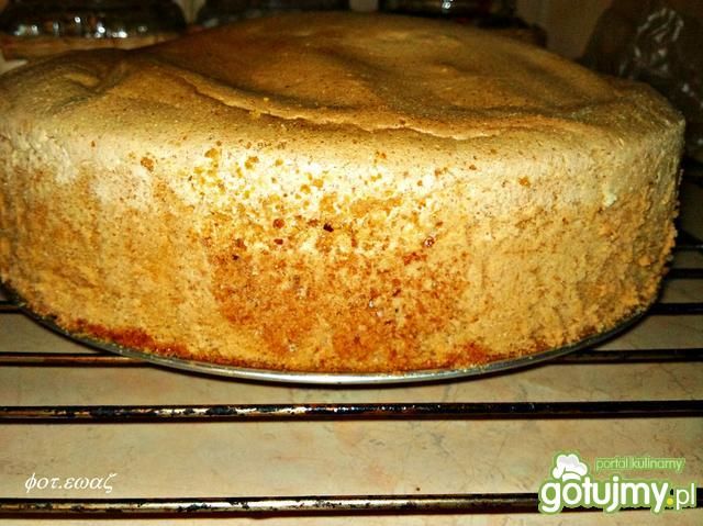 Biszkopt wg Zewy Biszkopt wg Zewy