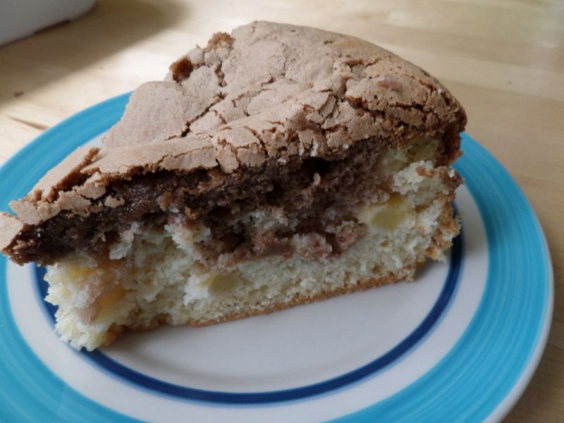 Biszkopt z jabłkami Biszkopt z jabłkami