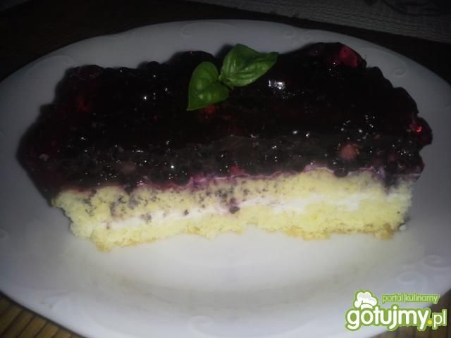 Biszkopt z jeżynami