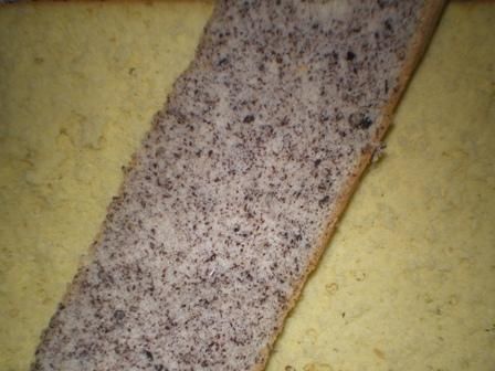 Biszkopt z kawałkami czekolady Biszkopt z kawałkami czekolady