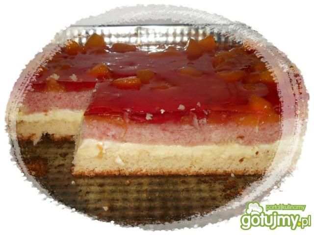 biszkopt z kremem i morelami