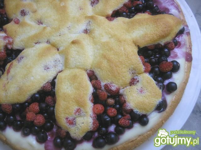 Biszkopt z owocami leśnymi