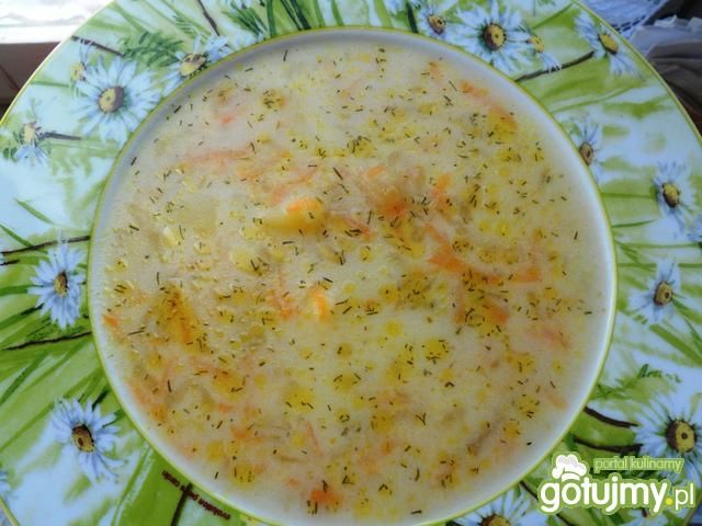 Błyskawiczna ogórkowa