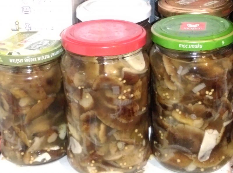 Błyskawiczne opieńki marynowane - bez pasteryzacji Błyskawiczne opieńki marynowane - bez pasteryzacji